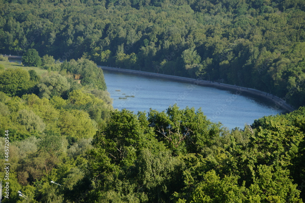 Obraz premium river in the forest