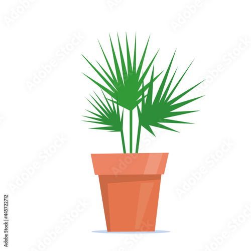 Cute green potted plant in flat style. Vector illustration.
