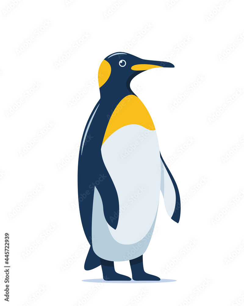 Cute penguin stands in full height, vector illustration on white background. Cute penguin stands in full height, vector illustration on white background.
