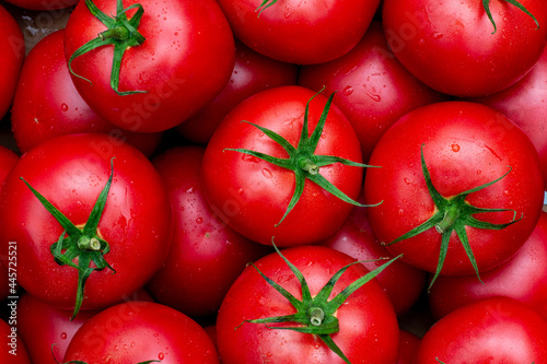Fresh Tomatoes 