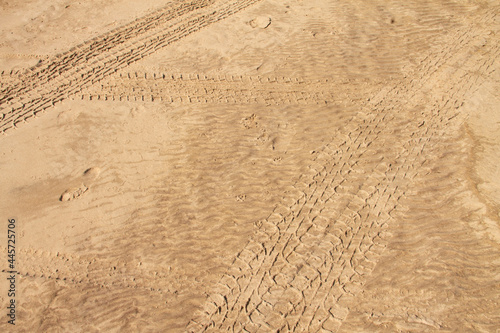 Fototapeta Naklejka Na Ścianę i Meble -  natural background texture clean sandy beach