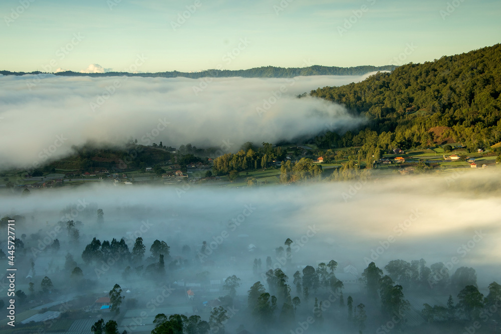 Fototapeta premium fog covers a village in kintamani bali