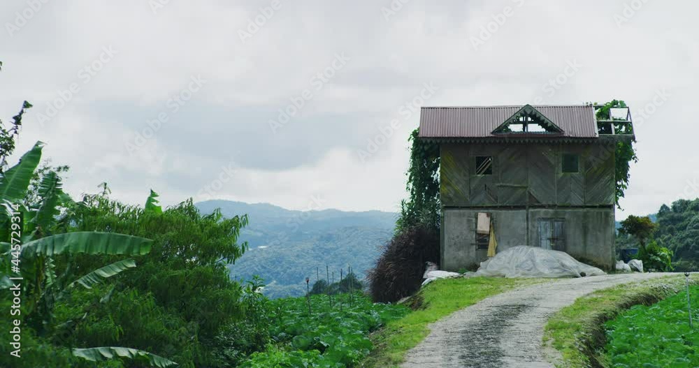 Abandoned And Overgrown House in The Cameron Highlands, Malaysia Abandoned And Overgrown House in The Cameron Highlands, Malaysia