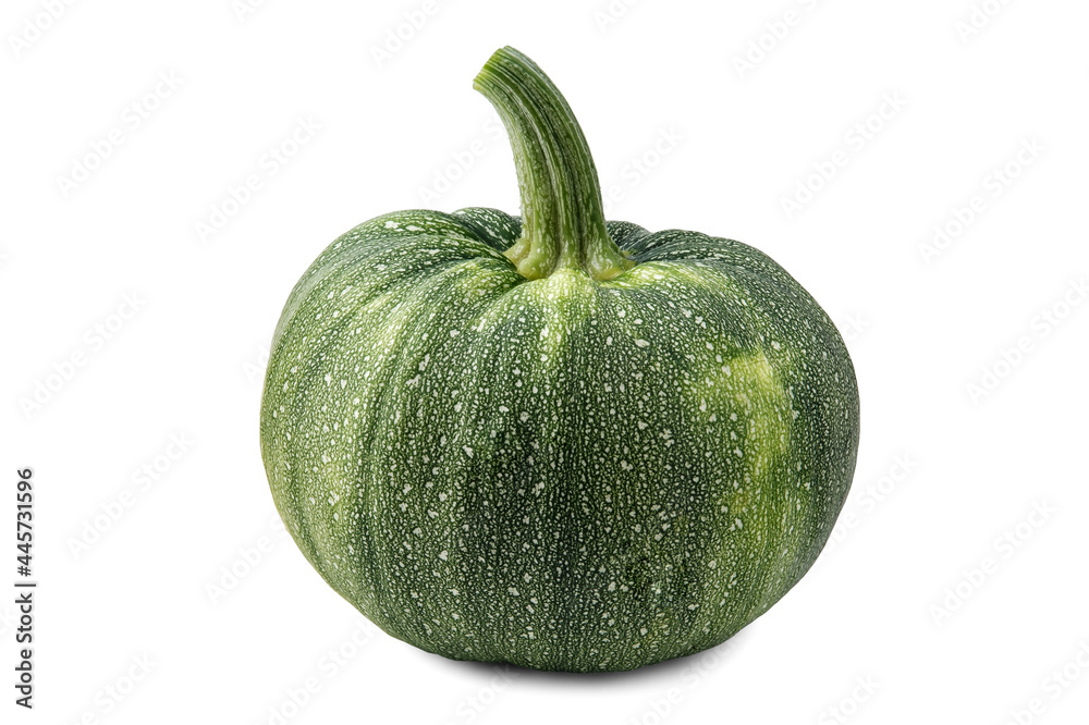 A round green zucchini, covered with yellow spots, with a long tail, isolated on white with a slight shadow. A round green zucchini, covered with yellow spots, with a long tail, isolated on white with a slight shadow.