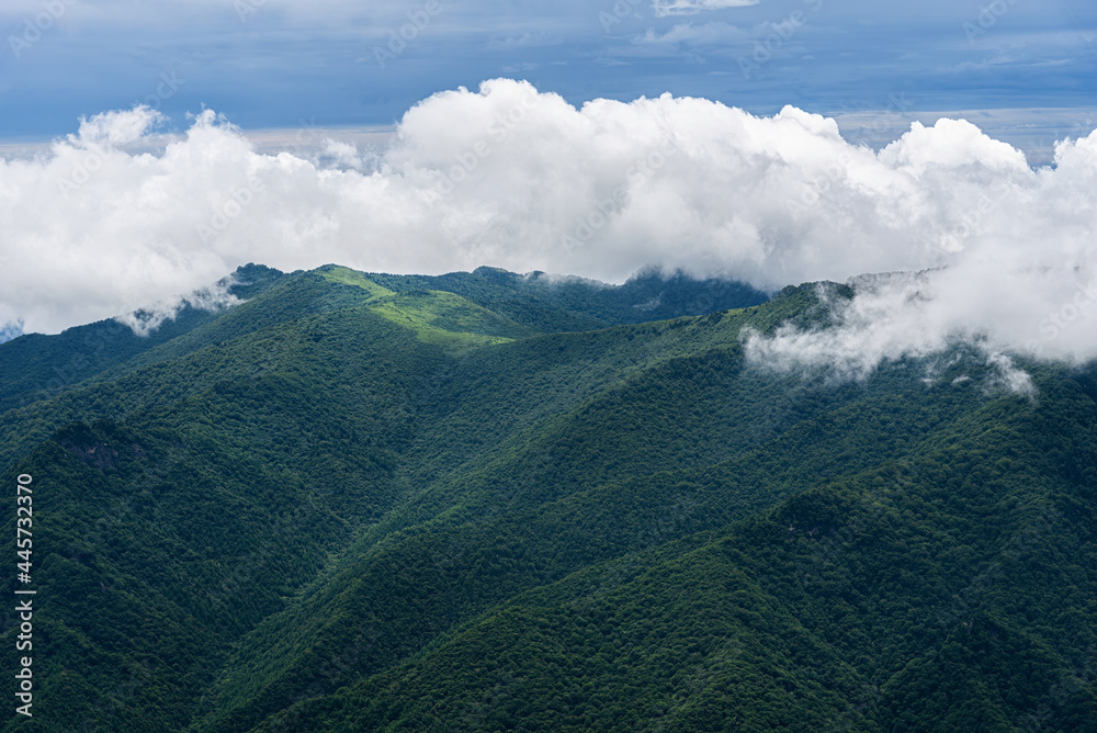 Qinling Mountain