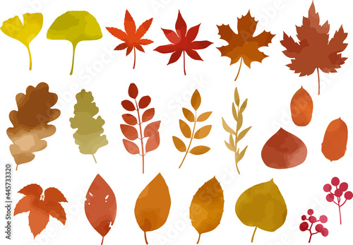 セット、葉、ベクター、秋、実、植物、イラスト、ナチュラル、模様、壁紙、デザイン、自然、葉っぱ、手描き、可愛い、かわいい、素材、バリエーション、挿絵、ボタニカル、落ち葉、木の葉、飾り、装飾、葉脈、草、白背景、ワンポイント、緩い、ゆるい、ラフ、あしらい、複数、パターン、集合、カット、綺麗、きれい、野草、雑草、木の実、黄色、赤、オレンジ、リーフ、紅葉、イチョウ、モミジ、カエデ