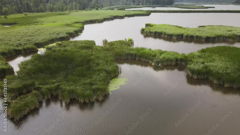 Top view of former fish ponds overgrown with rushes.These lagoons are used by birds such as herons and rushes during the breeding seanson. Top view of former fish ponds overgrown with rushes.These lagoons are used by birds such as herons and rushes during the breeding seanson.