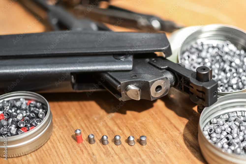 Obraz premium Sports and hobbies. Maintenance and preparation of an air rifle for shooting. Lead bullets of different sizes are selected.