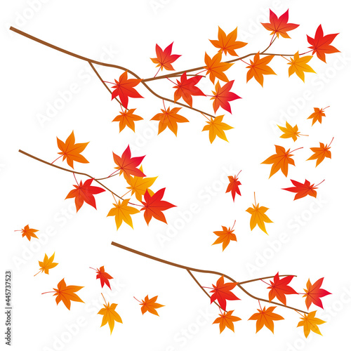 紅葉の木の枝と舞い落ちる葉っぱのセット　Autumn Leaves Tree Branches Vector Art
