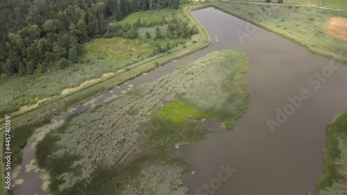 Top view of former fish ponds overgrown with rushes.These lagoons are used by birds such as herons and rushes during the breeding seanson. photo