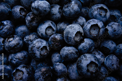 Wallpaper Mural blueberries close up Torontodigital.ca