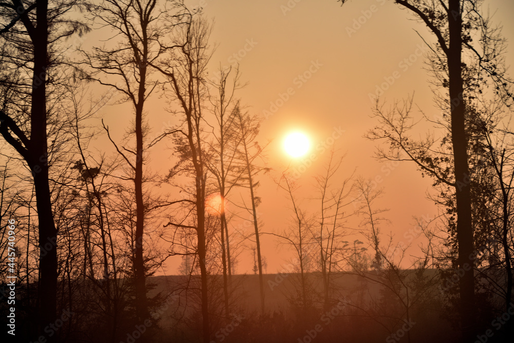 Naklejka premium misty sunrise over the forest and fields 