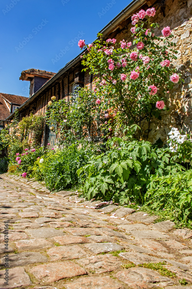 Gerberoy, Façade de maison couverte de roses dans une rue piétonne du village. Picardie. Hauts-de-France	