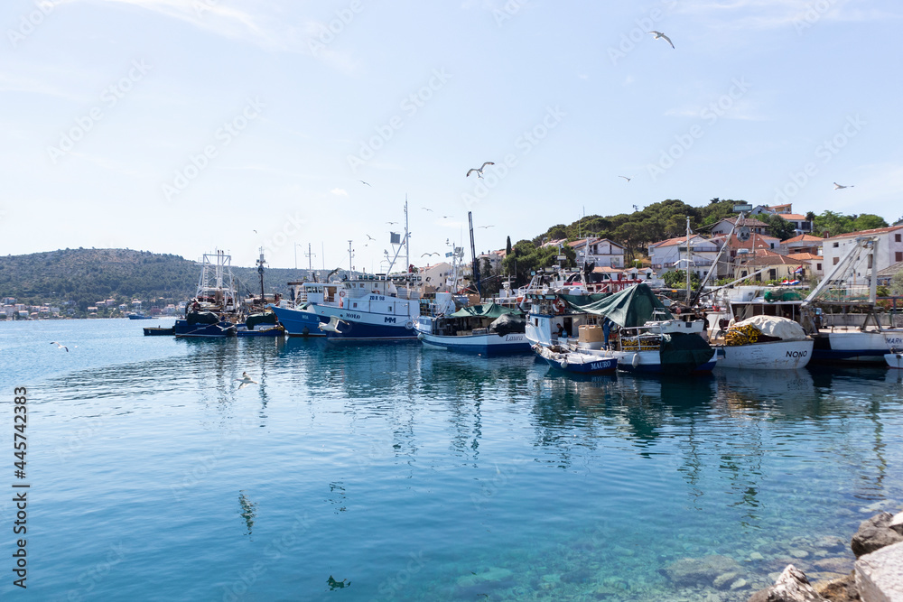 Seagulls flying around fishing boats carrying fresh catch at the port of Rogoznica, popular tourist destination in Dalmatia, Croatia