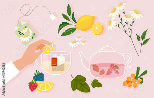 Tea party concept. The girl holds a slice of lemon in her hand and adds it to a cup of tea. Afternoon tea time. A healthy drink made from herbs, berries and fruits. Cartoon flat vector illustration