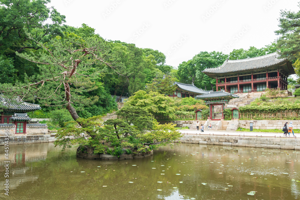 창덕궁 후원의 부용지와 주합루 규장각 창덕궁 후원의 부용지와 주합루 규장각
