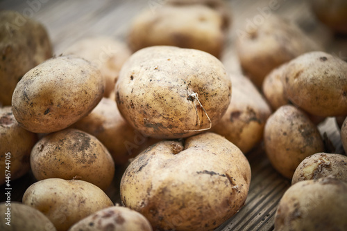 Freshly picked, home-grown fresh potatoes on rustic wooden background
