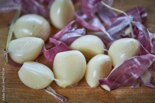 Freshly picked, home-grown purple stripe clove of garlic bulbs on rustic wooden background