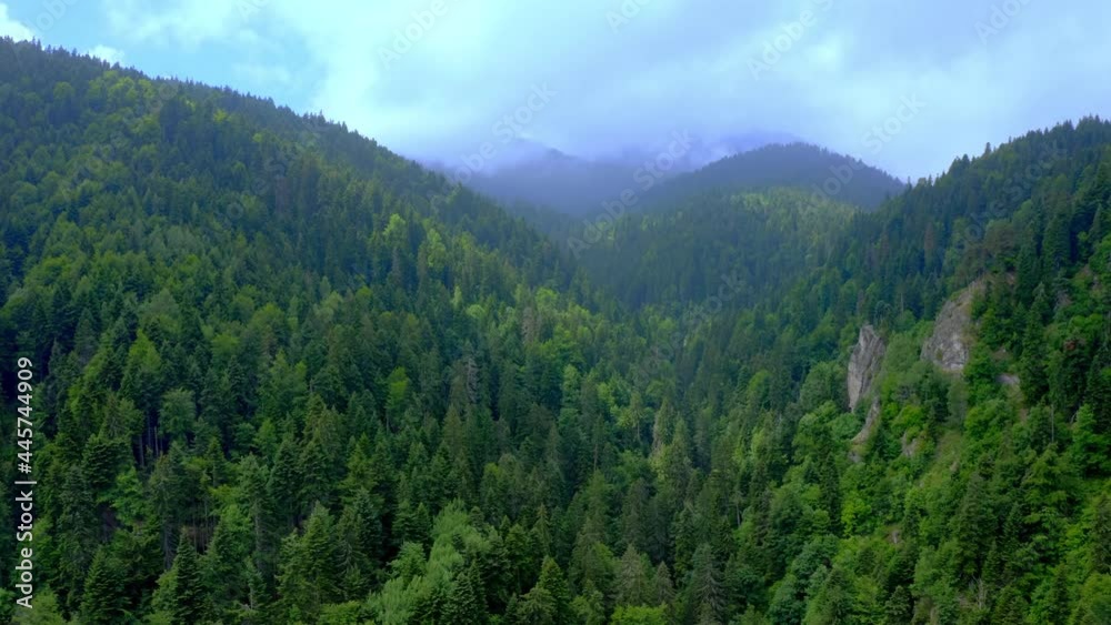 Aerial drone view flight over pine tree forest in the Rila mountain, Bulgaria. 4k Aerial drone view flight over pine tree forest in the Rila mountain, Bulgaria. 4k