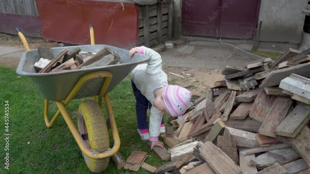 firewood little girl picks up,little girl helps her father to collect ...