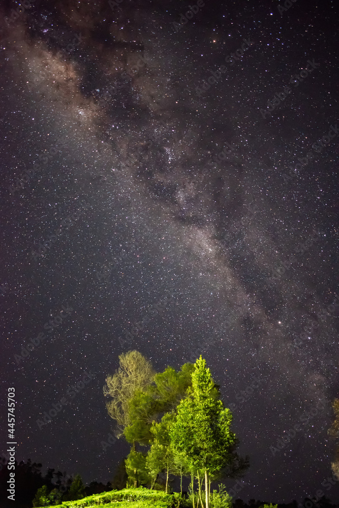 stars in the night sky