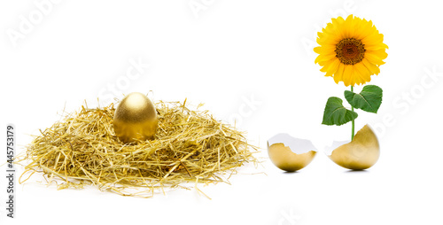 Goldenes Ei und Sonnenblume
