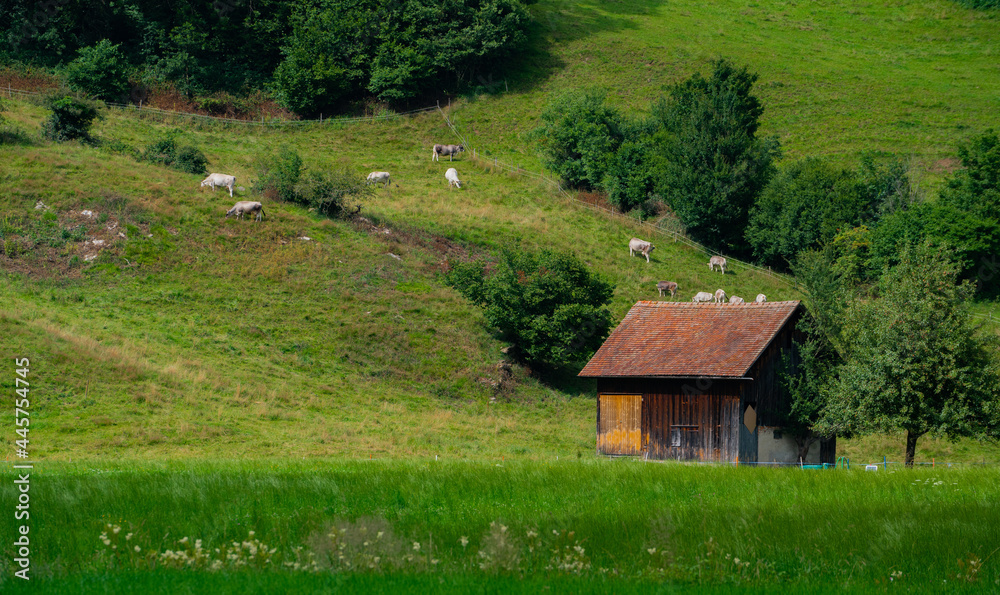 house in the mountains