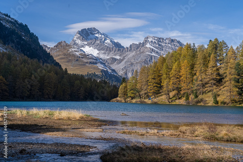 Herbst am Palpuognasee