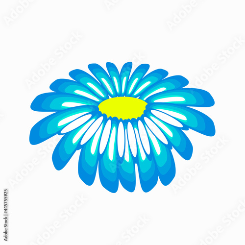 Chamomile flower isolated on a white background.Vector illustration.Medicinal flower can be used in textiles,cosmetics packages,postcards.