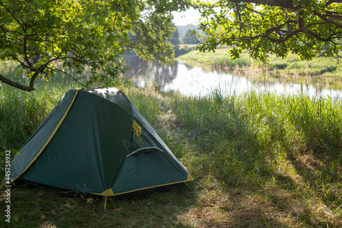 a tourist tent stands on the green grass near the river under a huge oak tree. travel wild in nature