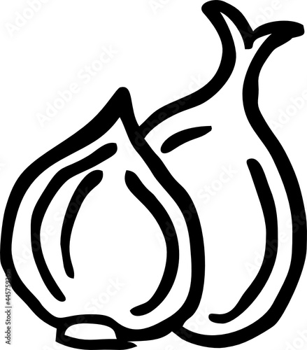 hand draw onion2