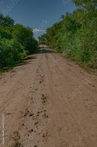 camino de tierra del Chaco Argentino