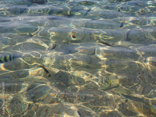 woda tektura piasek słońce fala © Inna