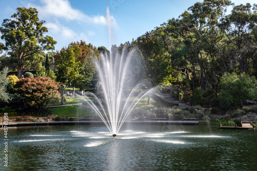 fountain in the park