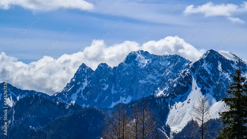 A close up view on the sonw-capped Alps in Slovenia. There are thick, white clouds behind the mountains. There are a few trees in the frame. Idyllic landscape. Cloudy, but sunny day. Calmness