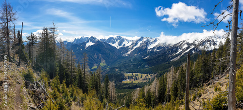 Fototapeta Naklejka Na Ścianę i Meble -  A panoramic view on Baeren Valley in Austrian Alps. The highest peaks in the chain are sonw-capped. Lush green pasture in front. A few trees on the slopes. Clear and sunny day. High mountain chains.
