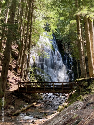 waterfall in the forest