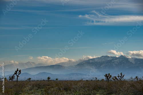 El Mirage Joshua Tree Sunset  California Mountains Snow   Desert 