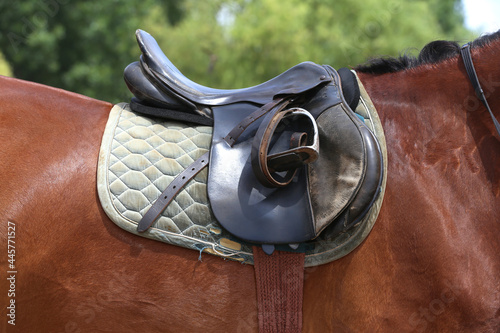 On the back of the horse, a brown leather saddle