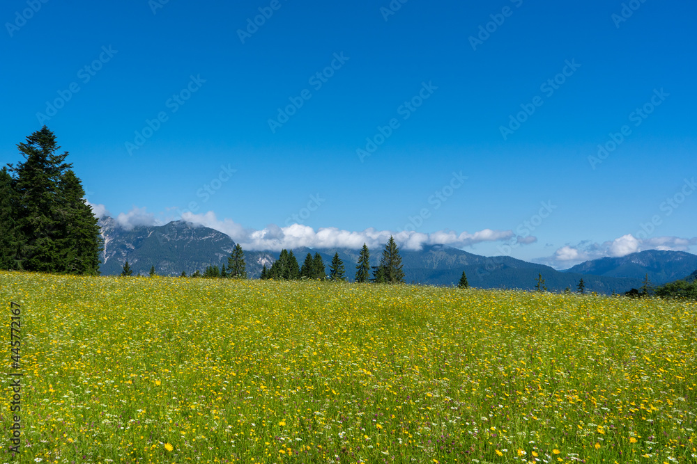 View from the Eckbauer mountain over the Bavarian Alps near Garmisch-Partenkirchen	