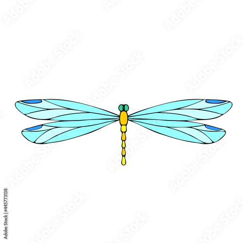 Dragonfly vector drawing. Insect dragonfly coloring book. EPS 10 Template.