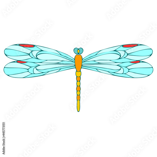 Dragonfly vector drawing. Insect dragonfly coloring book. EPS 10 Template.
