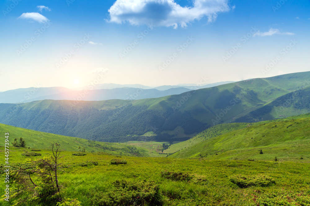 Landscape panorama of the Carpathians mountains in Ukraine at sunrise in hot summe