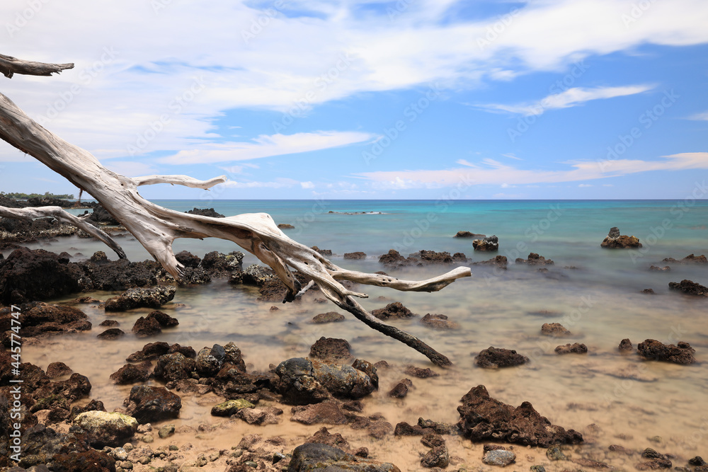 Hawaii Island, Beach 67 Driftwood and Sea 