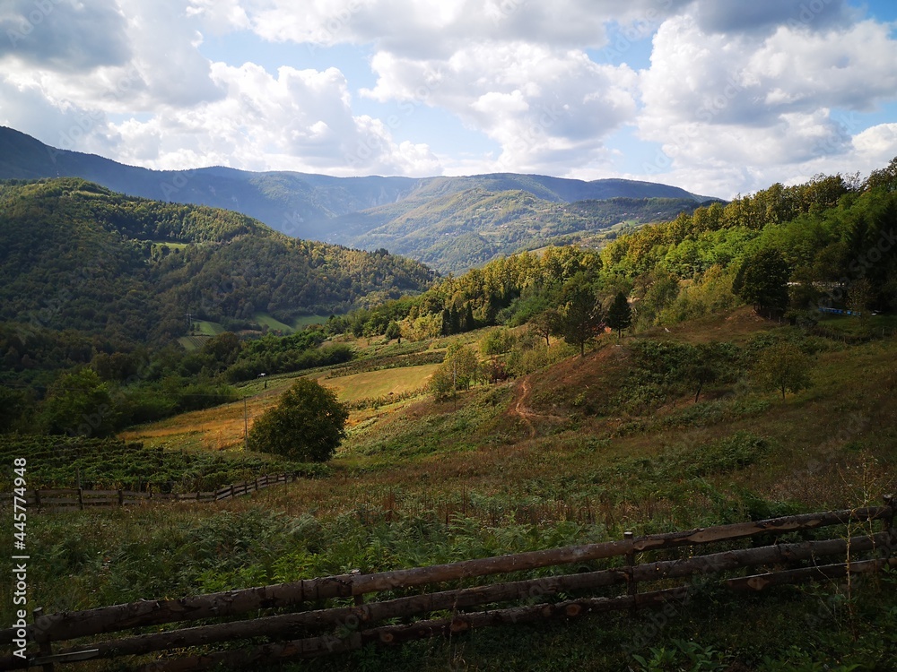 Tara National Park in Serbia Tara National Park in Serbia