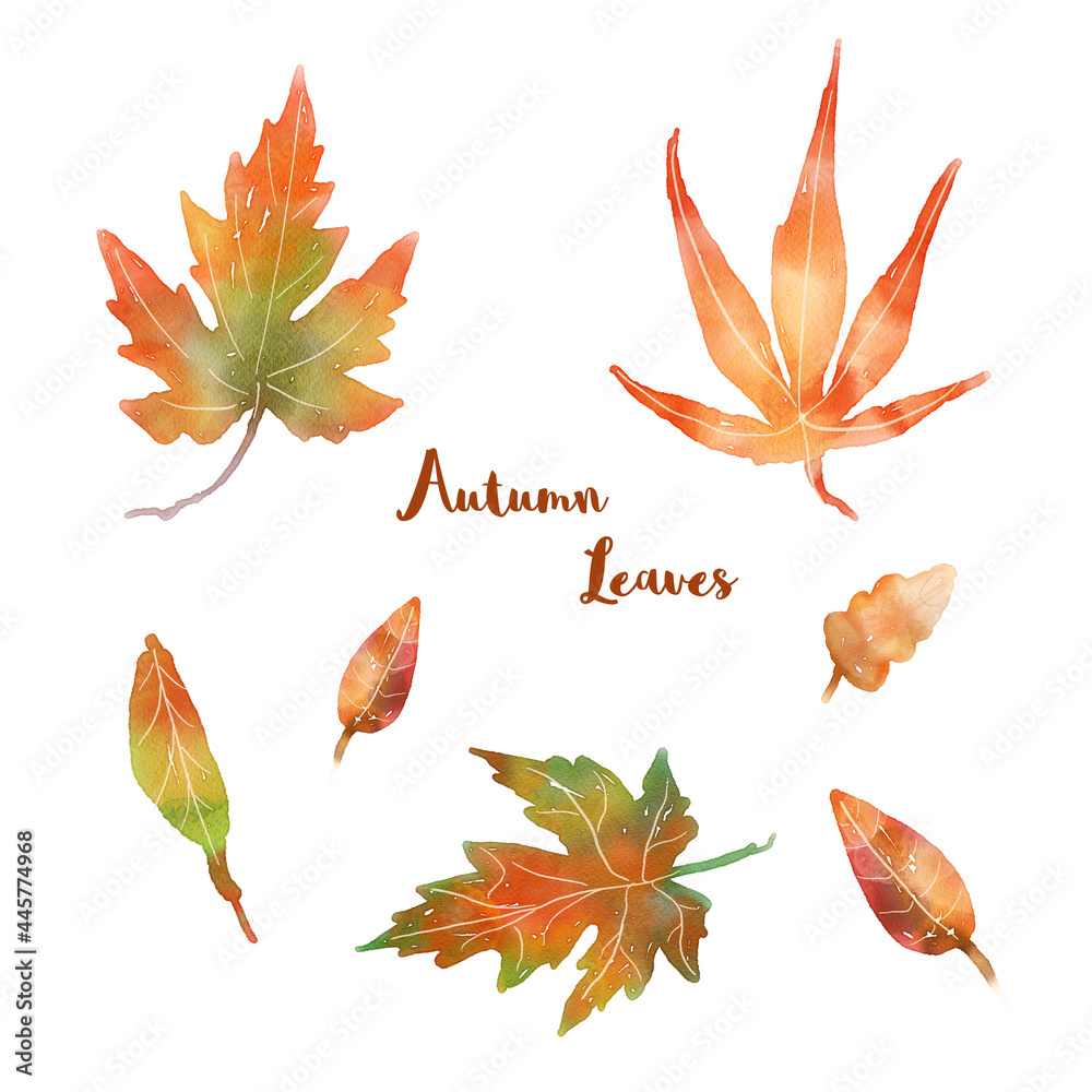watercolor set with bright autumn leaves