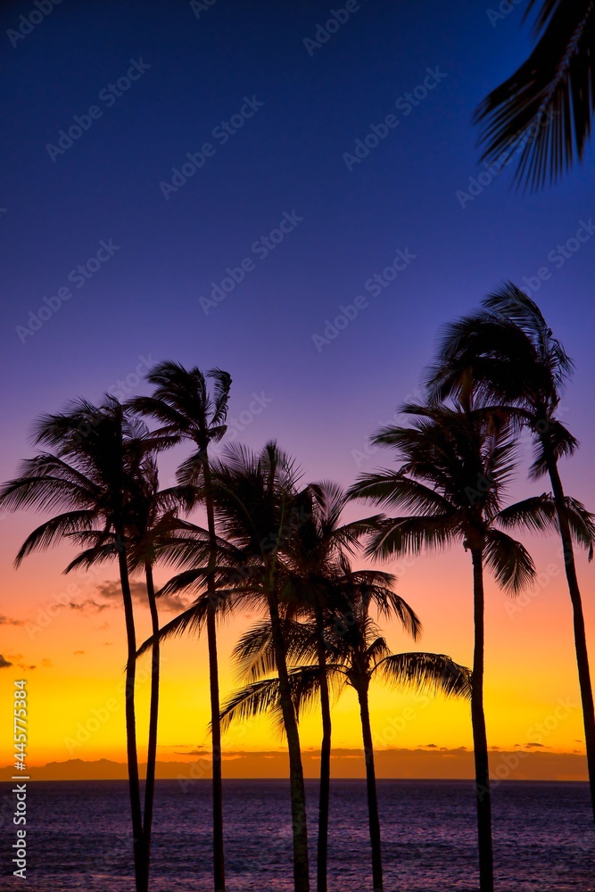 Beautiful sunset on the Big Island, Kohala Coast, 
HAWAII