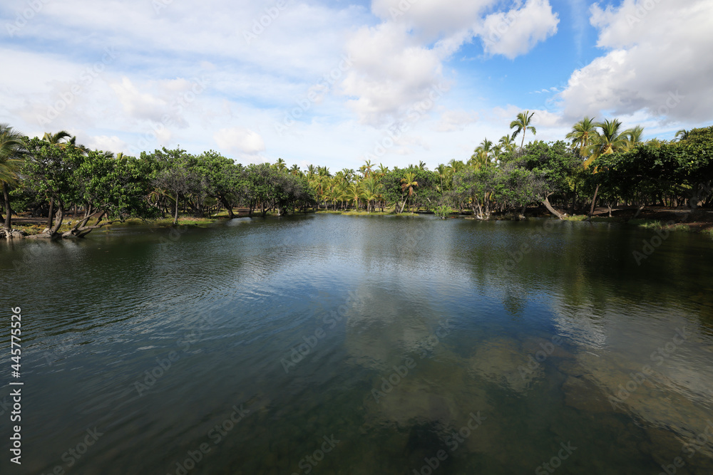 ish Pond in Kalahuipuaa Historical Park on the Big Island of Hawaii, one of the world's three largest power spots ish Pond in Kalahuipuaa Historical Park on the Big Island of Hawaii, one of the world's three largest power spots