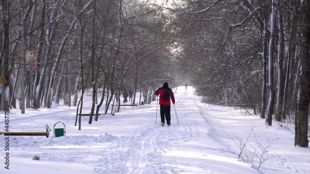 man in sportswear is cross-country skiing in a snowy winter forest man in sportswear is cross-country skiing in a snowy winter forest