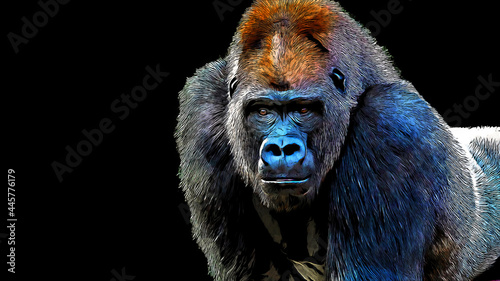 Digital painting portrait of a gorilla isolated on a black background photo